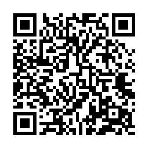 实际上国内几家智能手机厂商在发布会后便已经蠢蠢欲动二维码生成