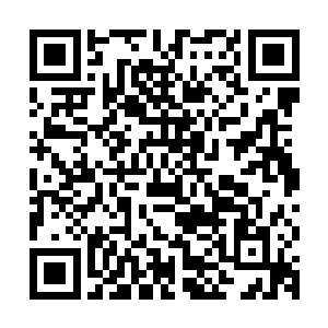 实际上已经是后族勋贵们看在和石家多年联姻的份上网开一面了二维码生成