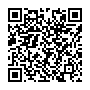 实际上这九叶仙草也的确是好几次拯救了我的性命二维码生成