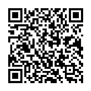 审稿人和投稿人的双向匿名措施仅仅在审稿期间有效二维码生成