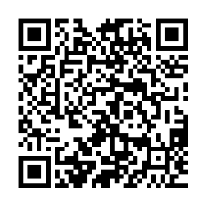 客栈中的陈凌可以用自己的神识感受到整个帝国的人在干什么二维码生成