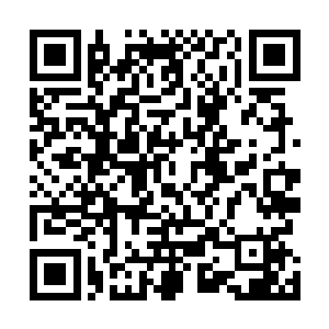 宫殿树的大殿依旧透亮宏伟而又带着一股自然舒适的意境二维码生成
