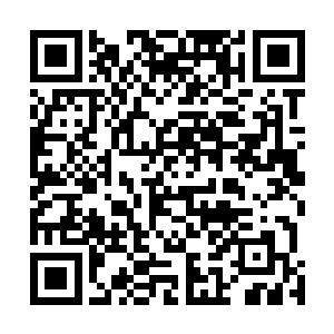 家世不算很好的大人也能叫家里娘子弄几样简单饭菜送来二维码生成