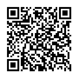 家中堪当顶梁柱的几个中年人也已经在火灾当晚或死或伤二维码生成