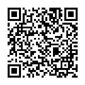 家中无一分余钱的困窘如刀劈斧砍地留在了她的脑海之中二维码生成