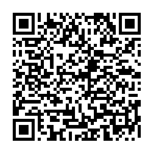 家中白事典客那一嗓子悠长迤逦的声音也从前庭传到了传到了老宅的后院之内二维码生成