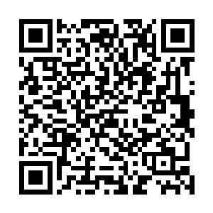 家族中大修士的数量不说与任意一域域内大修士数量相同二维码生成