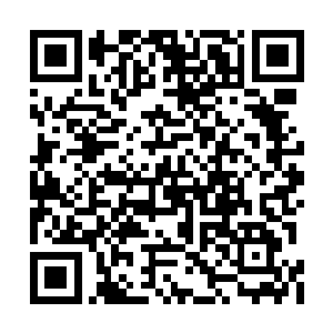 家族的积累不是离家那种新兴的贵族可以相比的二维码生成