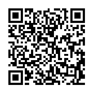 家里恐怕就有兄弟觉得我不够格坐广南王府的世子这个位置……二维码生成
