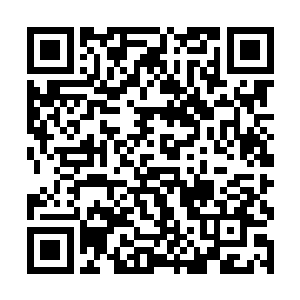 容觐在这时心细地发现夭华的唇角残留着一点点血渍二维码生成