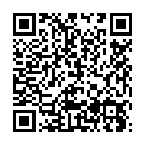 容锦的目光落在一直燕离抱着在怀里的护国公主身上二维码生成
