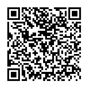 宿管张婶带着教导主任程老师以及几个在学校里值班的老师急匆匆赶来二维码生成