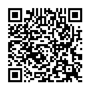 寂寞了我就出来找你…反正修炼的事情也不能着急在一时半会儿二维码生成