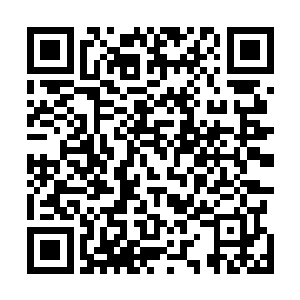 密密麻麻数不尽的奇异苍白盒子正整整齐齐的码放在一起二维码生成