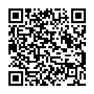 密集的子弹又一次透过秘密麻麻的植被向他们俩射了过来二维码生成