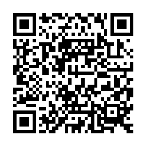 寒丹和药丹云两个人如今已经不想要和许紫烟比炼丹的速度了二维码生成