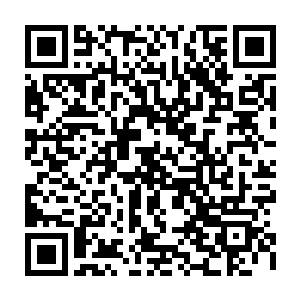 寒冰凝视者真就像是亘古耸立的冰雕一般凝视着仿佛着了火一般的日冕战士二维码生成