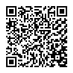 寒冰雪顿时感觉一股温暖绵长的灵力以大海涨潮一般的态势徐徐涌入自己身体二维码生成