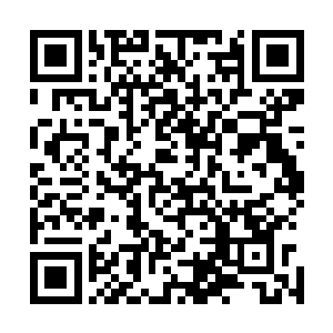 寒山和洛水两人以及紫薇宗和青霞宗的弟子这一刻全部出手二维码生成