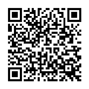 寒菲樱见大言不惭的罪魁祸首一副淡定得和没事人一样的从容二维码生成