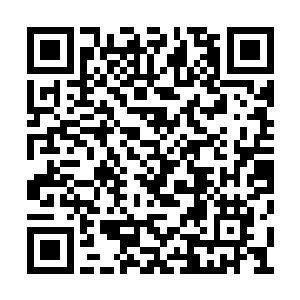 察觉到不对劲的苏幕遮立刻拨打电话给主治医生二维码生成