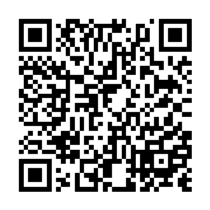 寡人十几年前与燕帝在大周参加国宴时便该明白的二维码生成