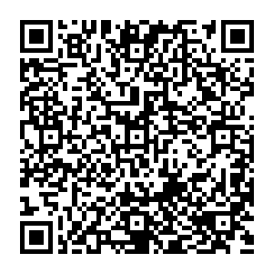 对不起亲爱的们~晚了~晚啦~帮牛老爸申诉密码~结果他还没加俺~结果那些工友还都是用手机~不上网吧~简直哭死~o二维码生成