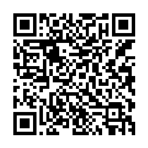 对于之前血肉触手的激动给冰殿世界和冰之生命们造成的影响二维码生成