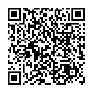 对于二号和三号那种动辄就使用等人高巨剑的烙印剑士而言就显得有些袖珍了二维码生成
