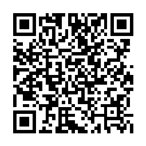 对于他而言完全没必要拆穿皮特那漏洞百出的话二维码生成