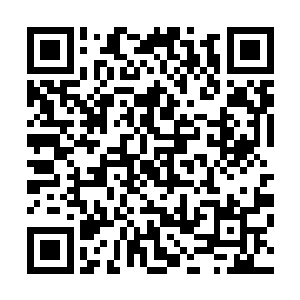 对于怎么把合欢教的家底神不知鬼不觉地搬空就更有把握了二维码生成