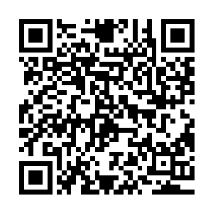 对于总包公司为昌州伟业建筑总公司的这家总承包商要进行处罚二维码生成