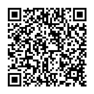 对于我这个总统以及我们的政府总理却是一点信息都没有透露过来二维码生成