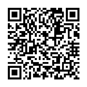 对于杨戬嘴里的低级功法的效果他们都已经见识过了二维码生成