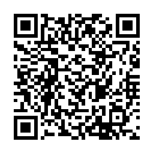 对于梦境世界食物的稀缺程度有了一个很明显的认识二维码生成