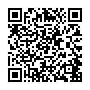 对于流墨墨为何知晓的这般详细众人倒是没有太在意二维码生成