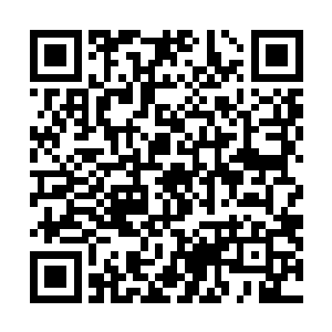 对于能威胁他们的大宗派大家族都有详细记载和密切关注二维码生成