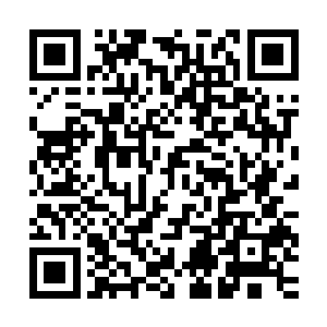 对于这个哥哥的初生牛犊不怕虎行为刘在石也是华丽丽的无视了二维码生成