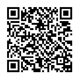 对他们以后如果真有机会突然到战尊境界渡劫也是有着好处的二维码生成