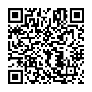 对付普通的亡灵他们的的确是可以发挥出巨大的威慑力二维码生成