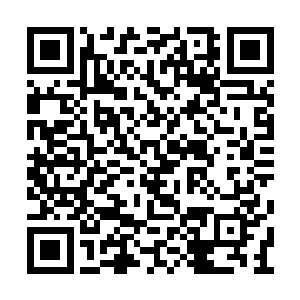 对城中煽动抗金的竹记成员的大规模抓捕开始了二维码生成