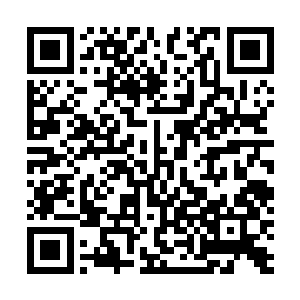 对方就只是单纯地利用物理能力与这几位传奇进行肉搏战二维码生成