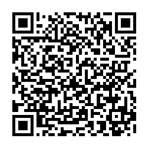 对方选择冷眼旁观博文集团局势和将我的消息泄露给血冥组织的真正原因二维码生成