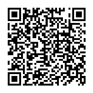 对未来满是希望的修士们却要在还没有享受生命的快乐之时便被舍去了啊二维码生成