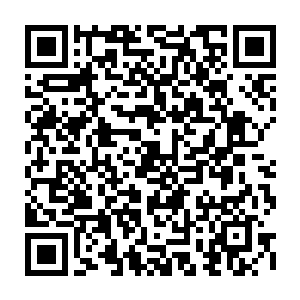 对楚天中报告说他们已经开始在用蛇派最阴毒的刑罚逼供那蛇派掌门楚天成二维码生成