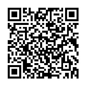 对这个寒王他即便是北暮国的皇帝但依然要礼让三分二维码生成