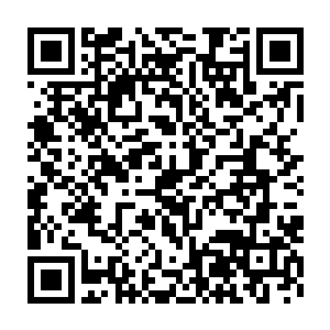 寻龙盘显露出来的画面也终于是因为承受不住这能量而彻底的消失二维码生成