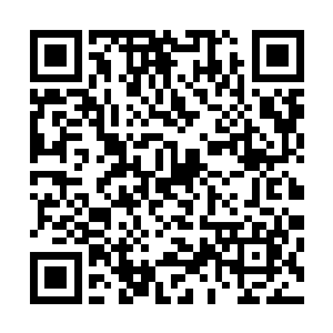 导弹一刻不早一刻不晚的从堪萌萌左边翅膀下的发射口飞出二维码生成
