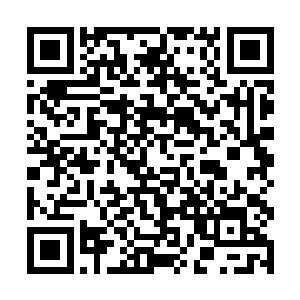 将一条体积至少是其数十倍的大鱼强势从池塘中拖出二维码生成