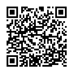 将上次吸收自欧阳询和仇断肠的毒素菁华完全吸收二维码生成